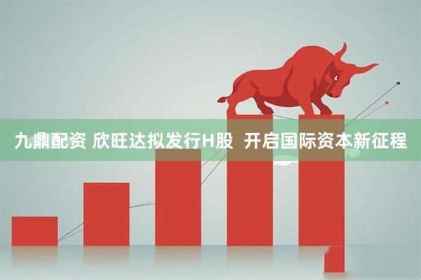 九鼎配资 欣旺达拟发行H股  开启国际资本新征程