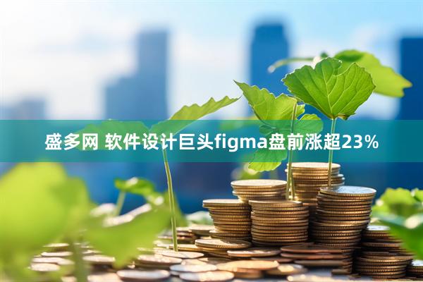 盛多网 软件设计巨头figma盘前涨超23%