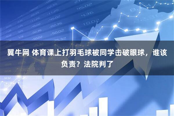 翼牛网 体育课上打羽毛球被同学击破眼球，谁该负责？法院判了