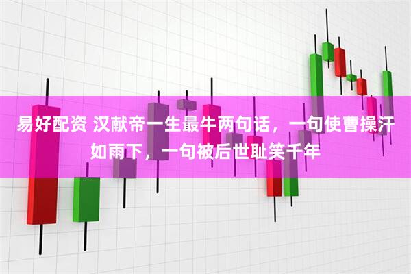 易好配资 汉献帝一生最牛两句话，一句使曹操汗如雨下，一句被后世耻笑千年