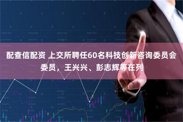 配查信配资 上交所聘任60名科技创新咨询委员会委员，王兴兴、彭志辉等在列